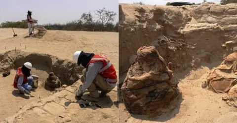 Hallan en Ica momias en fardos funerarios de más de 800 años escondidas en Huacachina Seca