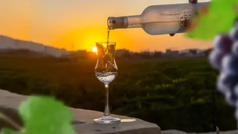 El 97% de productores de pisco son mypes y sostienen 16 mil empleos en el Perú